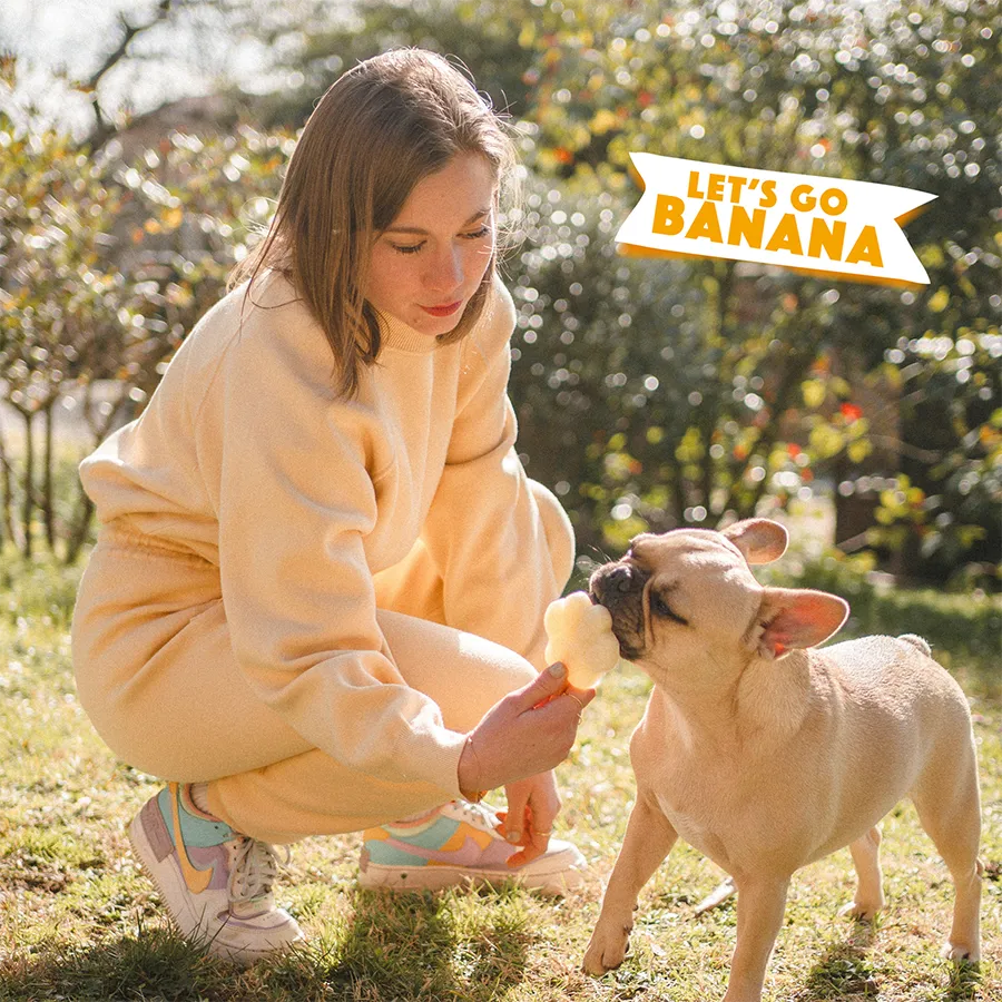 S3070_5430000548106_Banana Mix for Dog Ice_05.webp