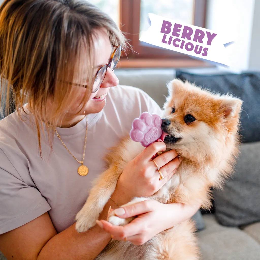 S3090_5430000548243_Blueberry_Mix for dog ice_05.webp