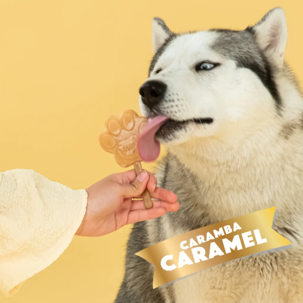 S3110_5430000548434_Creamy Caramel Mix for Dog Ice_05.webp