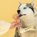 S3110_5430000548434_Creamy Caramel Mix for Dog Ice_05.webp