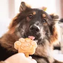 S3110_5430000548434_Creamy Caramel Mix for Dog Ice_02.webp