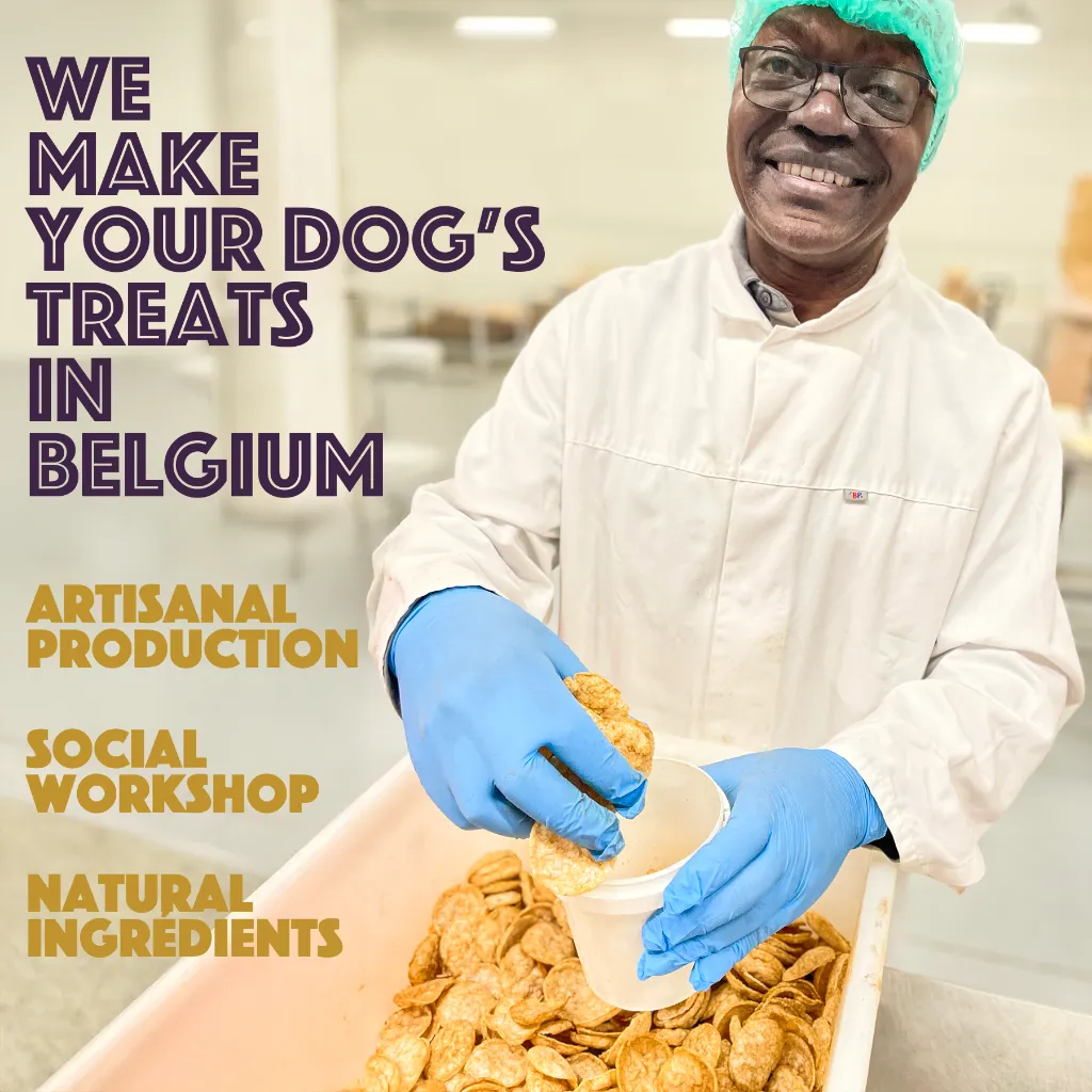 S6030_Dog Chips_Snack Box_hypo-allergenic_EN_03.webp