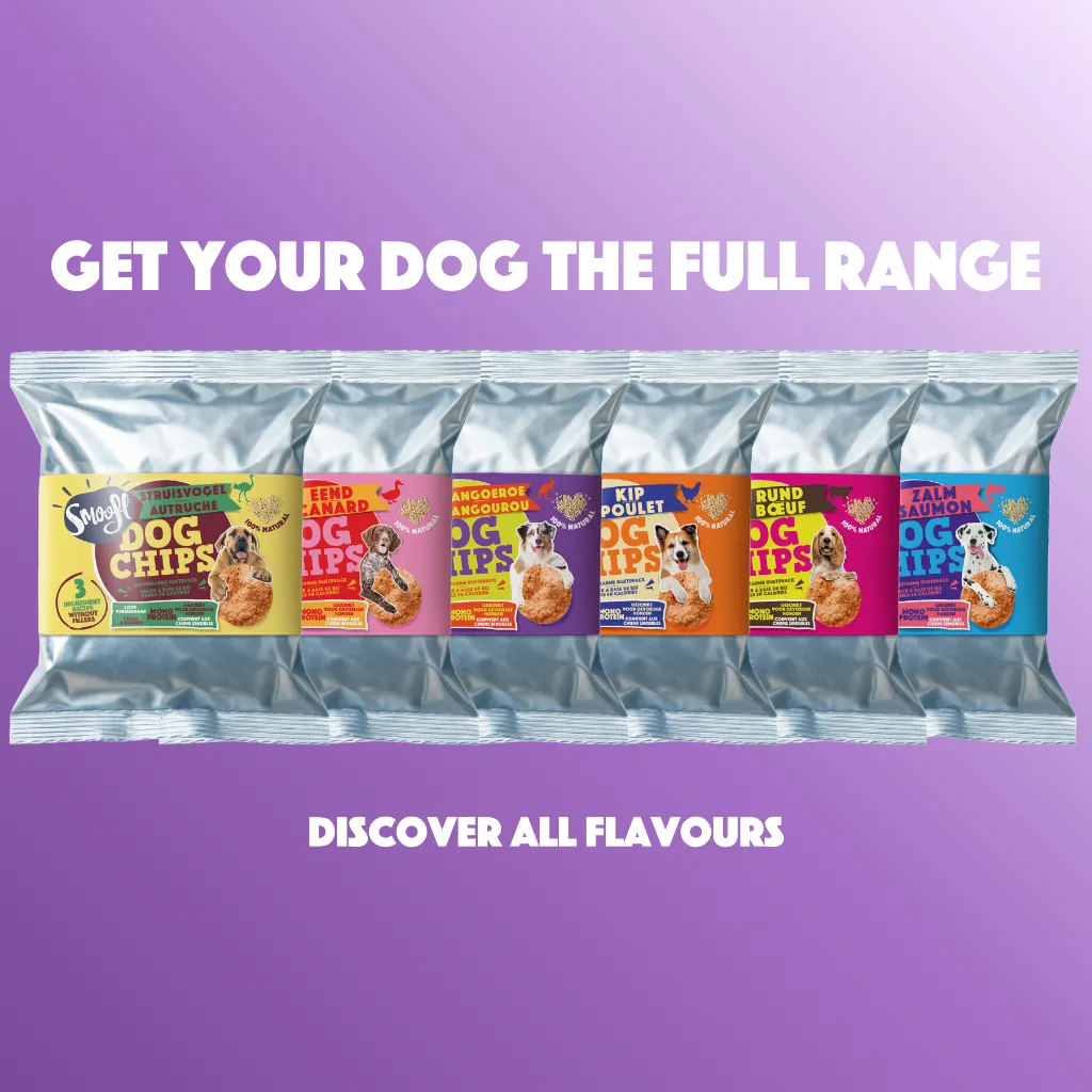 S7060_Dog Chips_Kangaroo_EN_06.webp