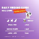 S7060_Dog Chips_Kangaroo_EN_05.webp