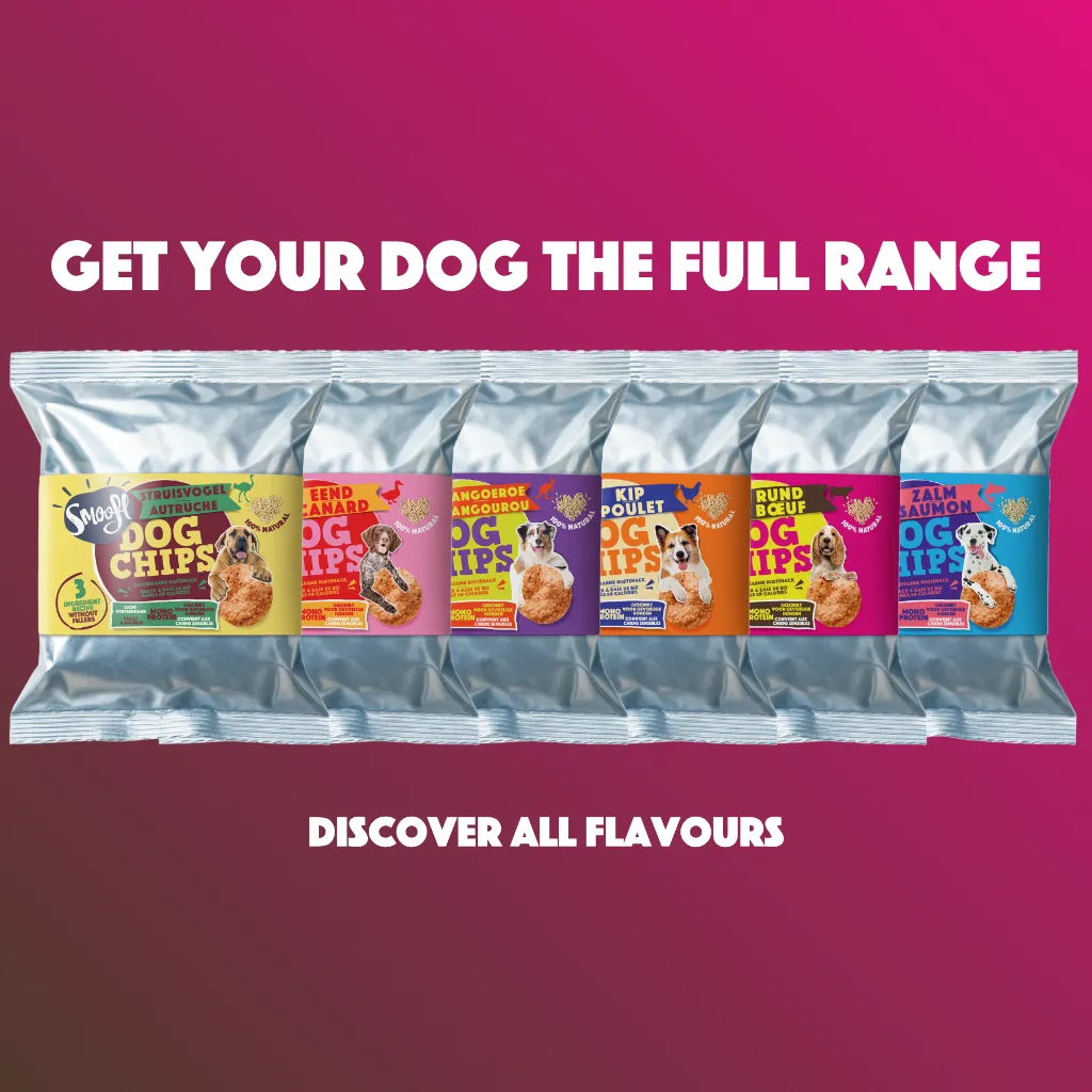 S7040_Dog Chips_Beef_EN_06.webp