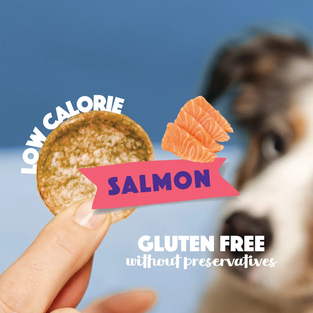 S7001_Dog Chips_Salmon_EN_02.webp