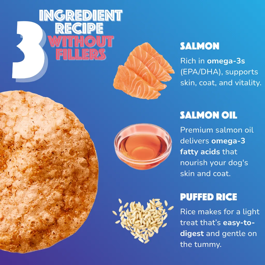 S7001_Dog Chips_Salmon_EN_03.webp
