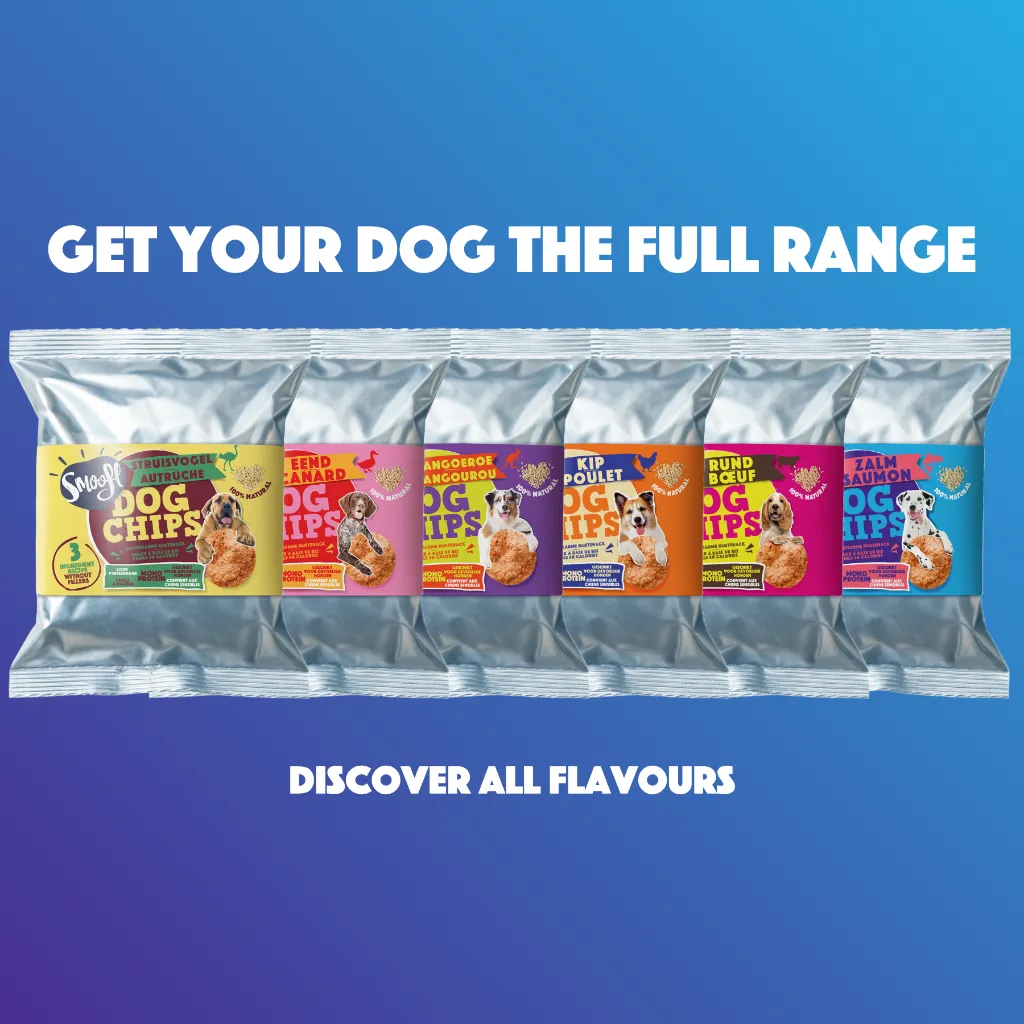 S7001_Dog Chips_Salmon_EN_06.webp
