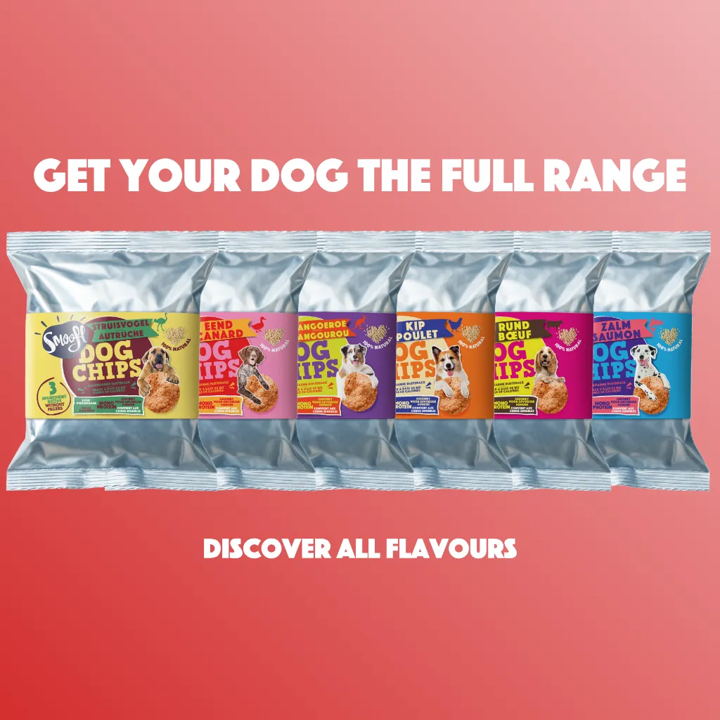 S7090_Dog Chips_Turkey_EN_06.webp