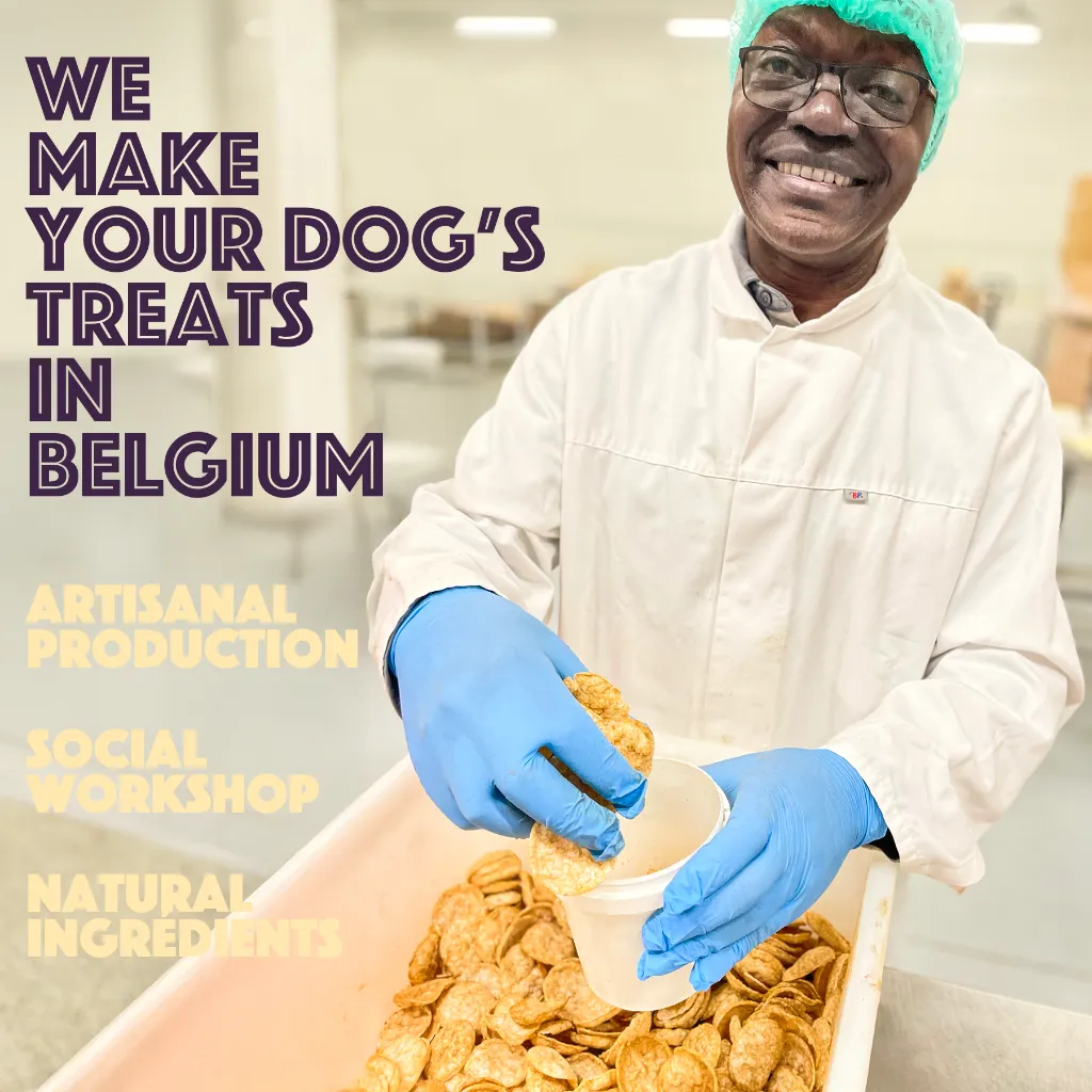 S7050_Dog Chips_Chicken_EN_04.webp