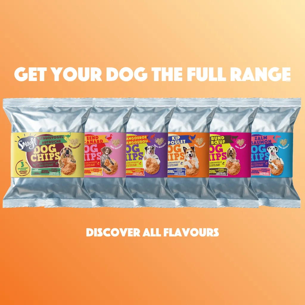 S7050_Dog Chips_Chicken_FR_06.webp