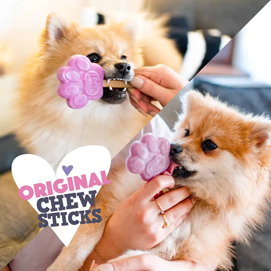 S1000_5430000548458_Original_Chew sticks_04.webp