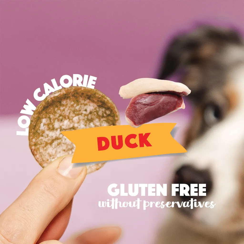 S7080_Dog chips_Duck_EN_02.webp