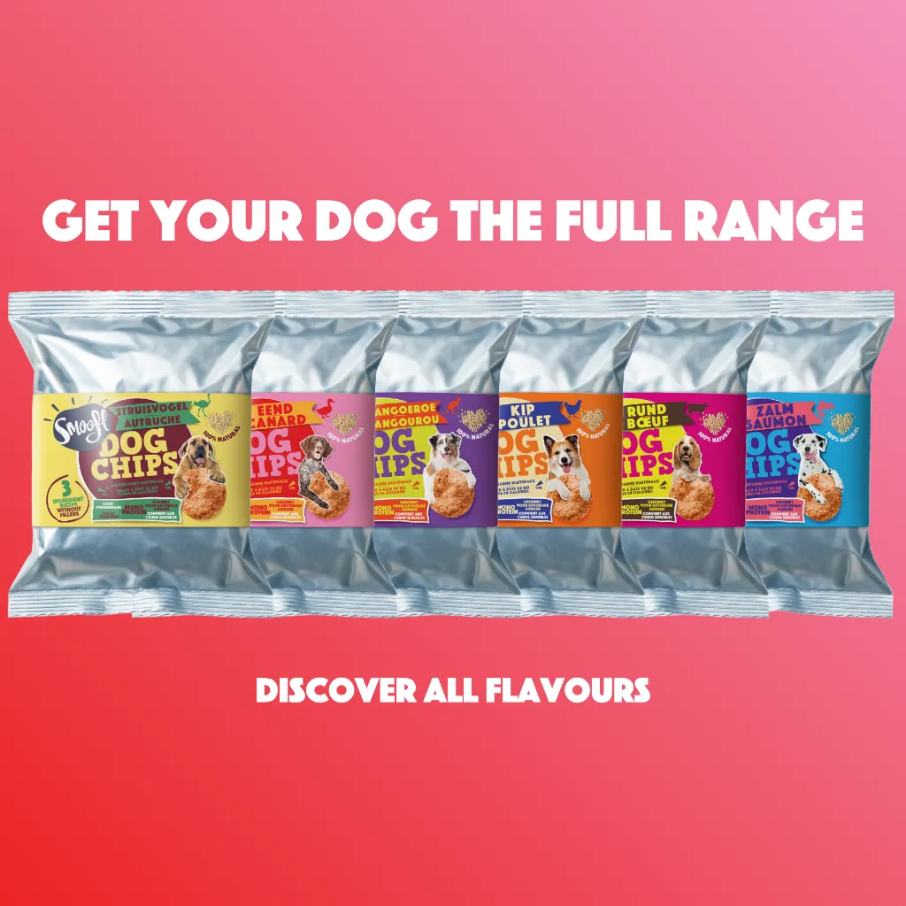 S7080_Dog Chips_Duck_FR_06.webp
