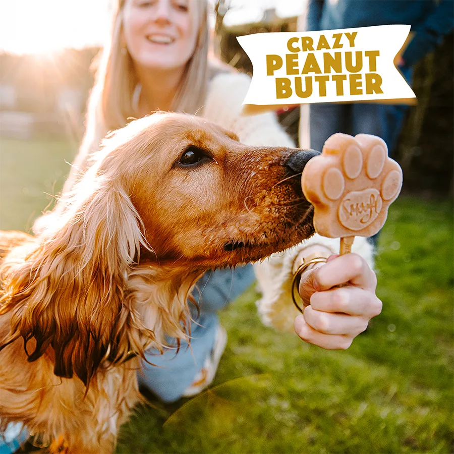 S3041_5430000548656_Peanut butter Mix for Dog Ice_05.webp