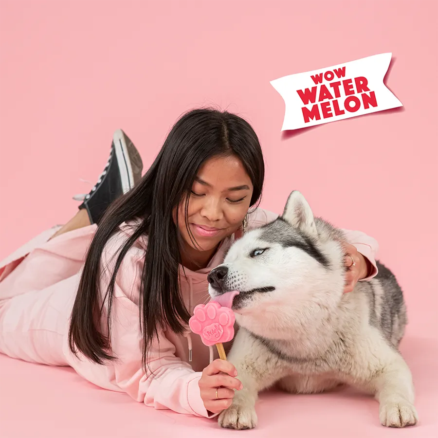 S3061_5430000548663_Watermelon Mix for Dog Ice_05.webp