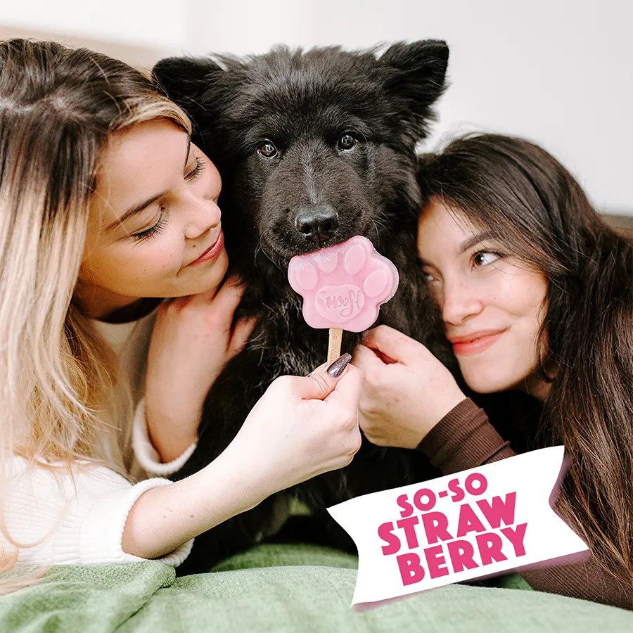 S3011_5430000548649_Strawberry Mix for dog ice_05.webp