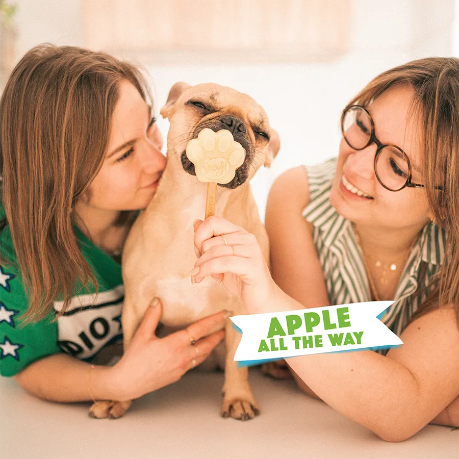 S3080_5430000548199_Apple Mix for Dog Ice_05.webp